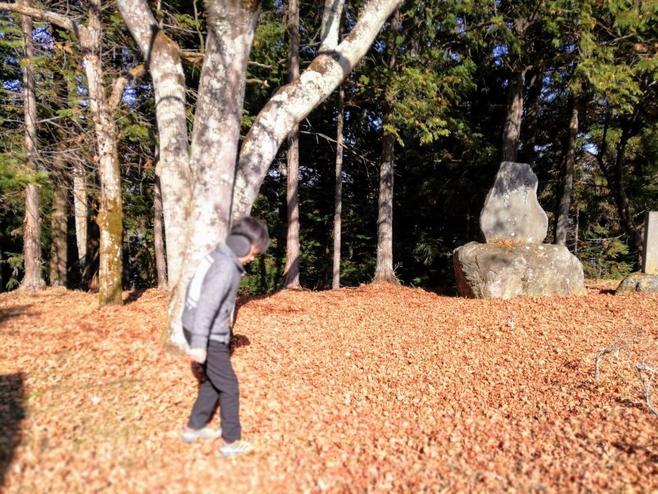 f:id:adagio-nijiiro:20181204014249j:image