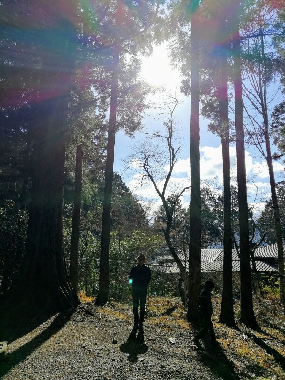 f:id:adagio-nijiiro:20181204015751j:image