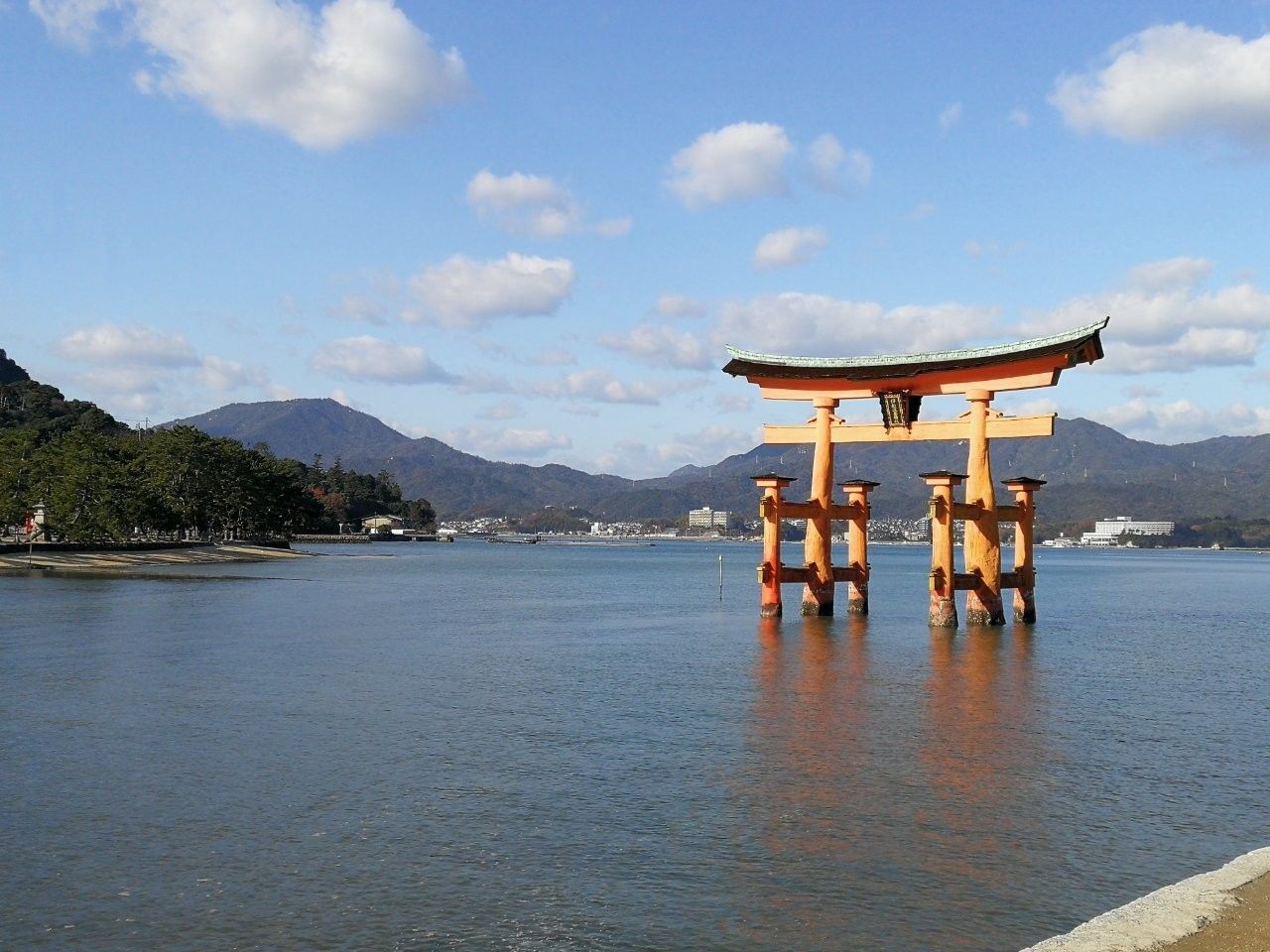 f:id:adagio-nijiiro:20181230124304j:image f:id:adagio-nijiiro:20181230124304j:image