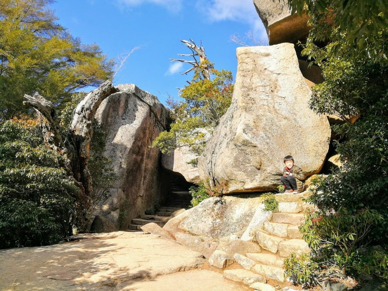 f:id:adagio-nijiiro:20181230212309j:image f:id:adagio-nijiiro:20181230212309j:image