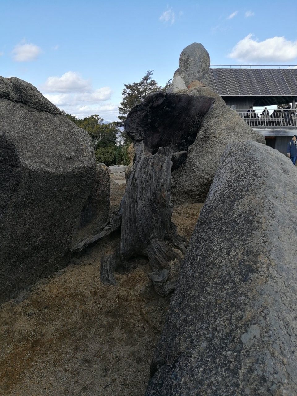 f:id:adagio-nijiiro:20181230213051j:image f:id:adagio-nijiiro:20181230213051j:image