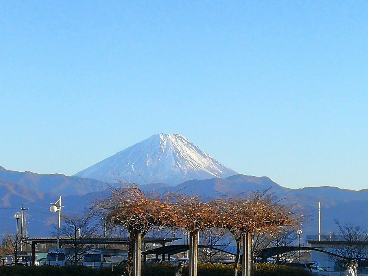 f:id:adagio-nijiiro:20190118211327j:image f:id:adagio-nijiiro:20190118211327j:image