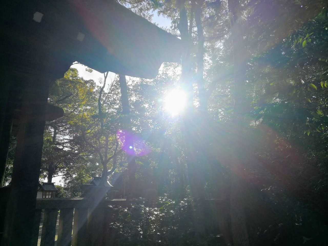 f:id:adagio-nijiiro:20190130205400j:image f:id:adagio-nijiiro:20190130205400j:image