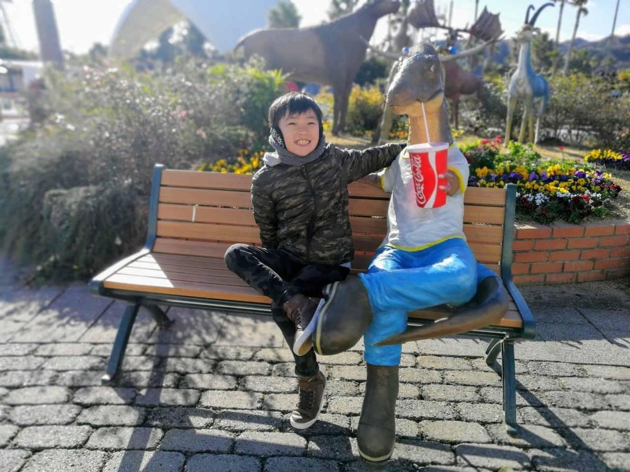 f:id:adagio-nijiiro:20190130211839j:image f:id:adagio-nijiiro:20190130211839j:image