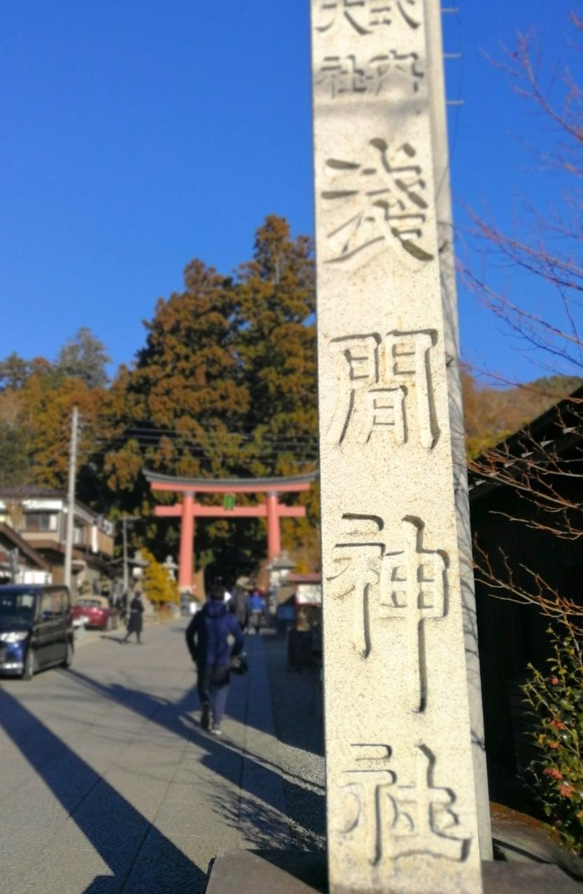 f:id:adagio-nijiiro:20190202235152j:image