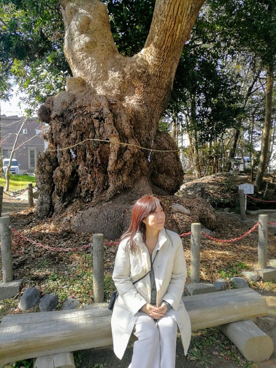 f:id:adagio-nijiiro:20190211001245j:image f:id:adagio-nijiiro:20190211001245j:image