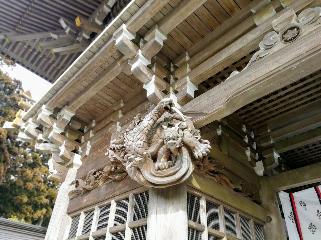 f:id:adagio-nijiiro:20190211003341j:image f:id:adagio-nijiiro:20190211003341j:image