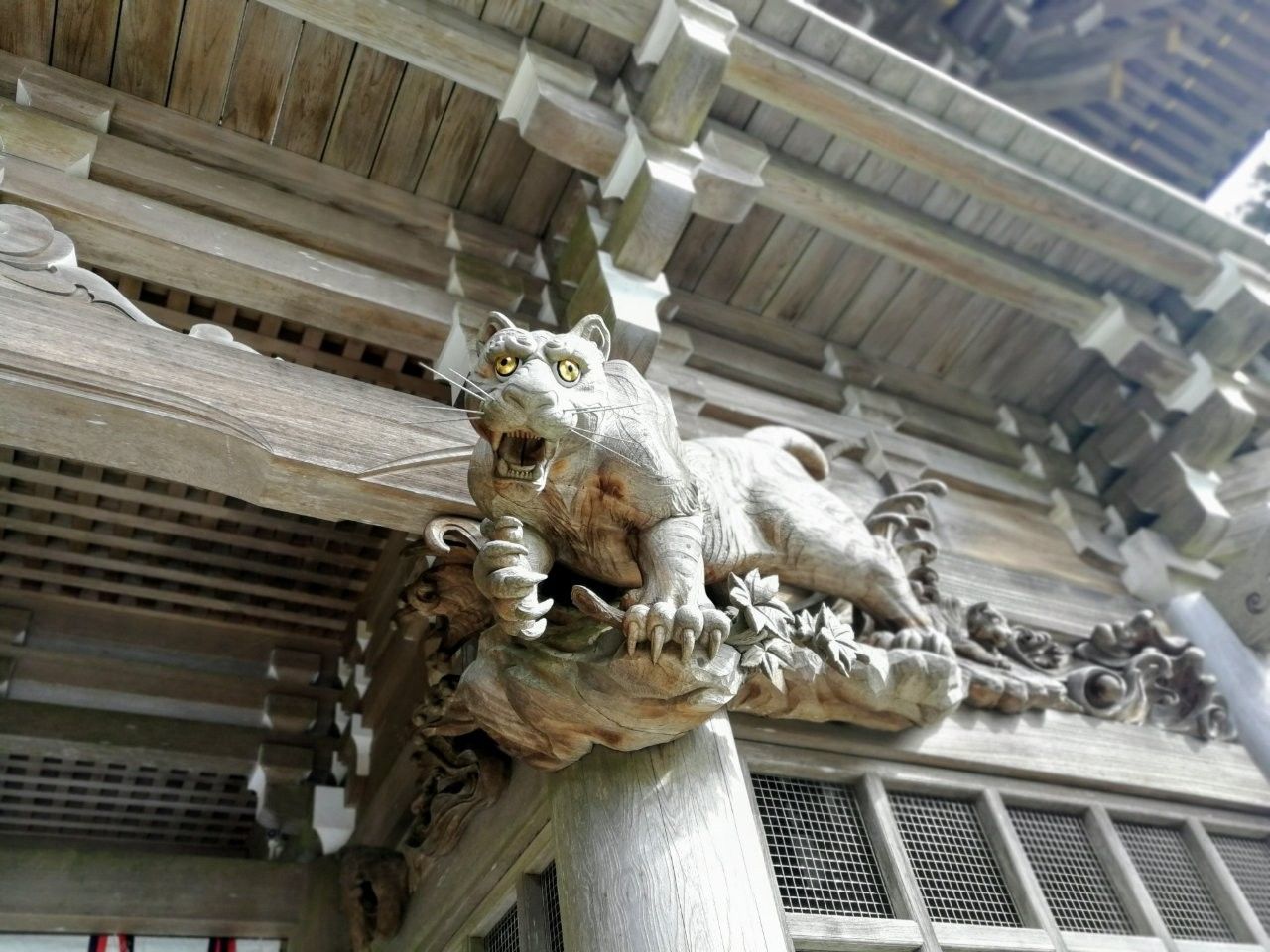 f:id:adagio-nijiiro:20190211003405j:image f:id:adagio-nijiiro:20190211003405j:image