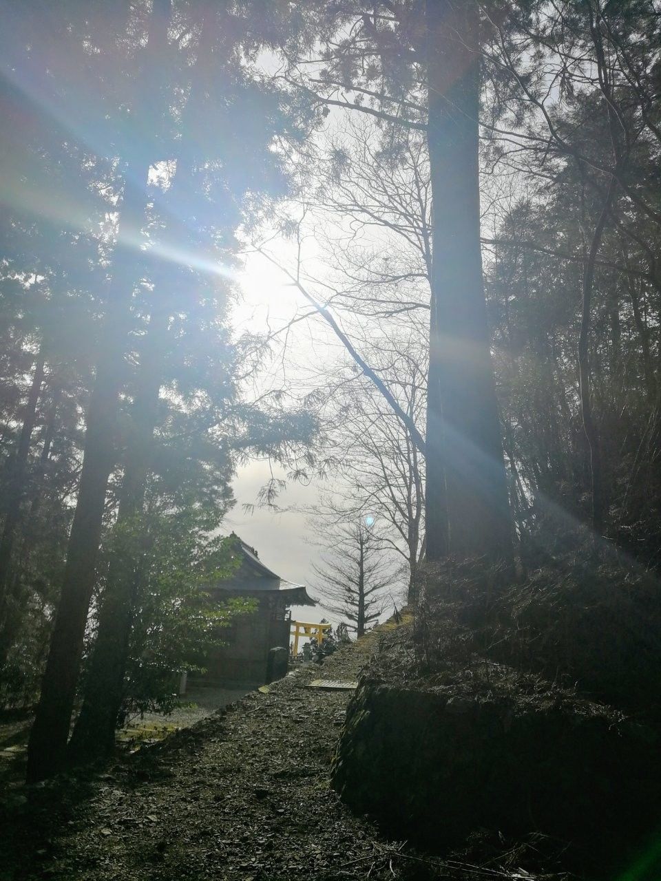 f:id:adagio-nijiiro:20190211004912j:image f:id:adagio-nijiiro:20190211004912j:image
