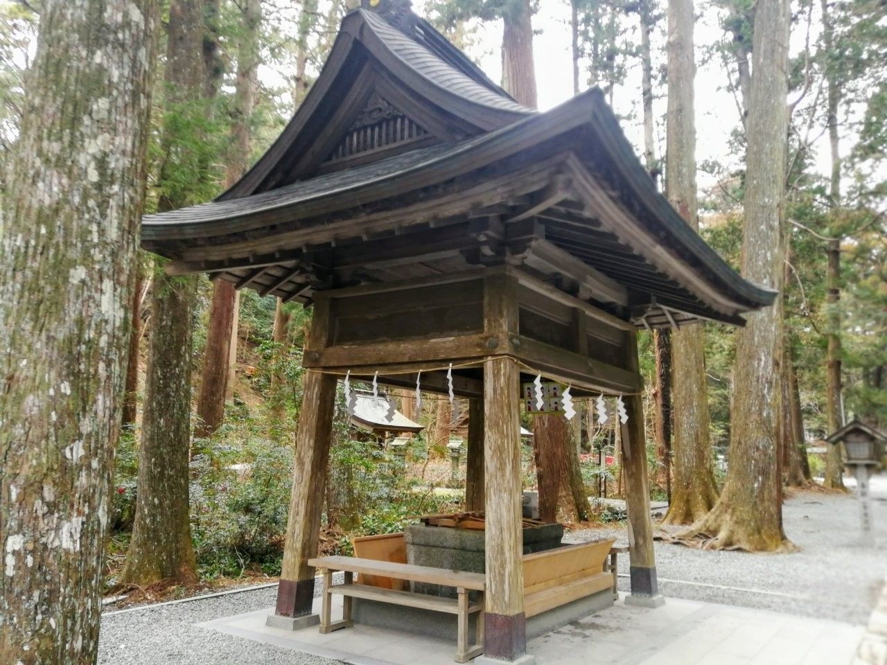 f:id:adagio-nijiiro:20190211235019j:image f:id:adagio-nijiiro:20190211235019j:image