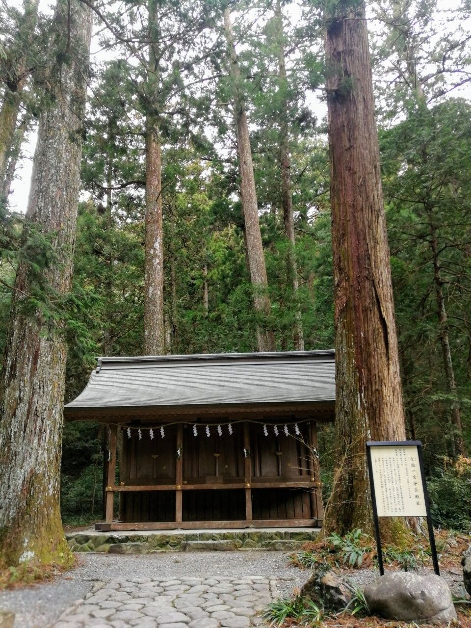 f:id:adagio-nijiiro:20190212000730j:image f:id:adagio-nijiiro:20190212000730j:image