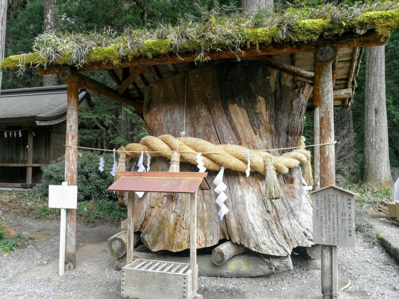 f:id:adagio-nijiiro:20190212001417j:image f:id:adagio-nijiiro:20190212001417j:image