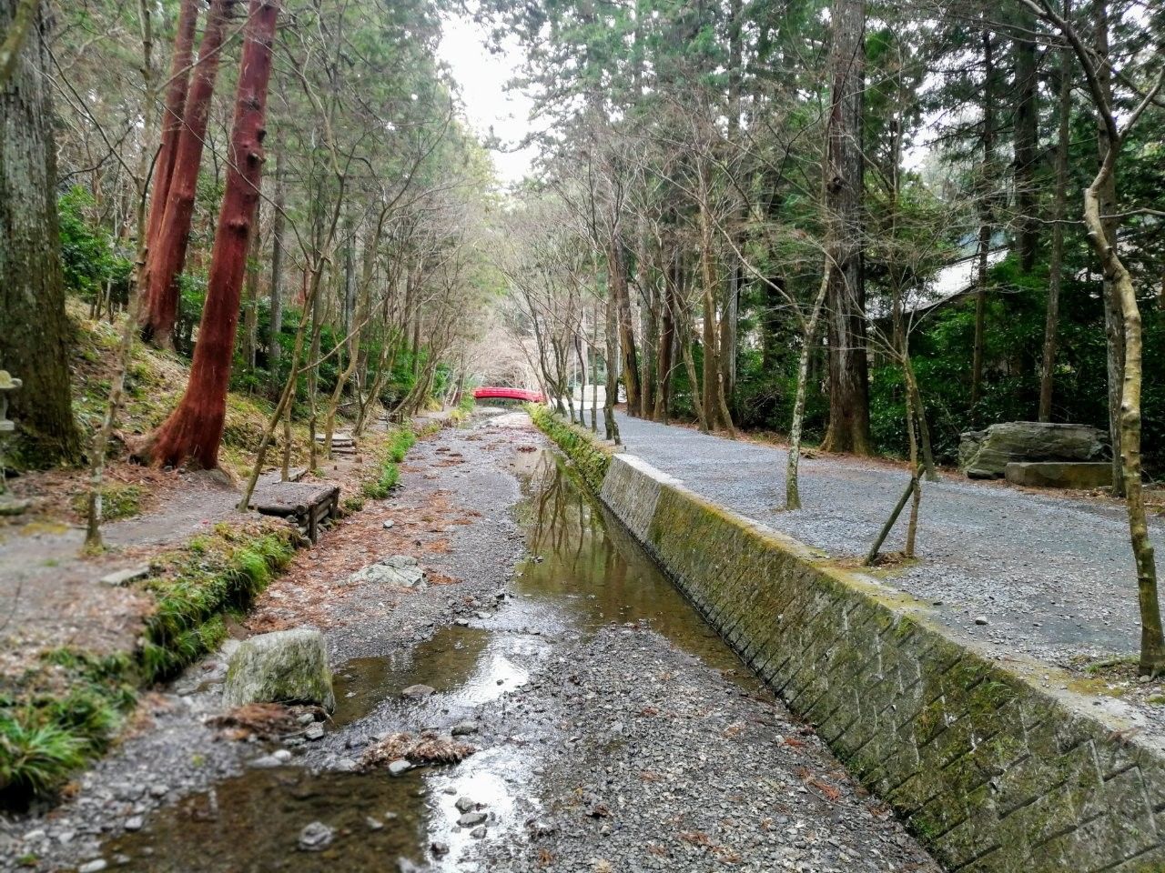 f:id:adagio-nijiiro:20190212002910j:image f:id:adagio-nijiiro:20190212002910j:image