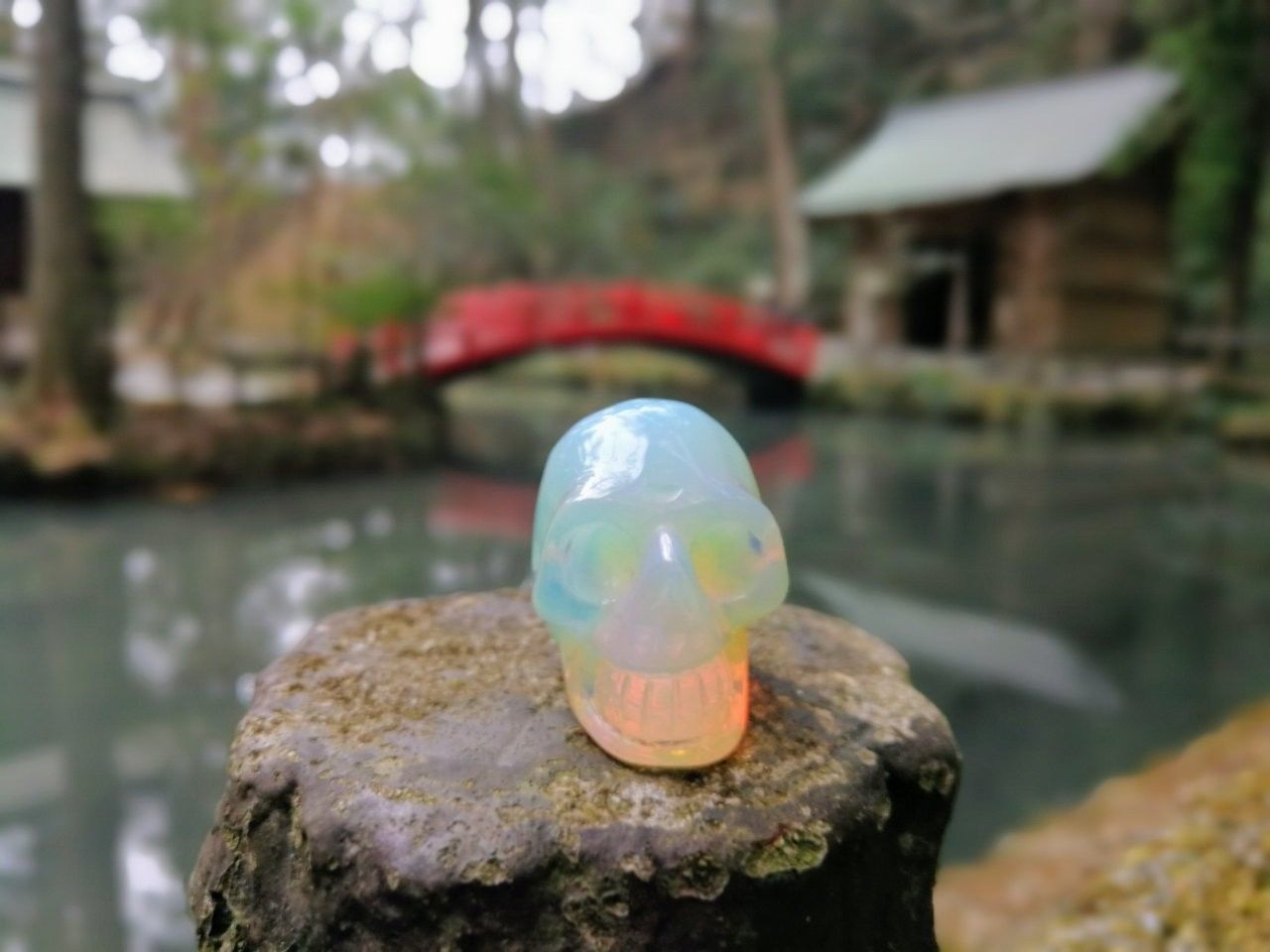 f:id:adagio-nijiiro:20190212004156j:image f:id:adagio-nijiiro:20190212004156j:image