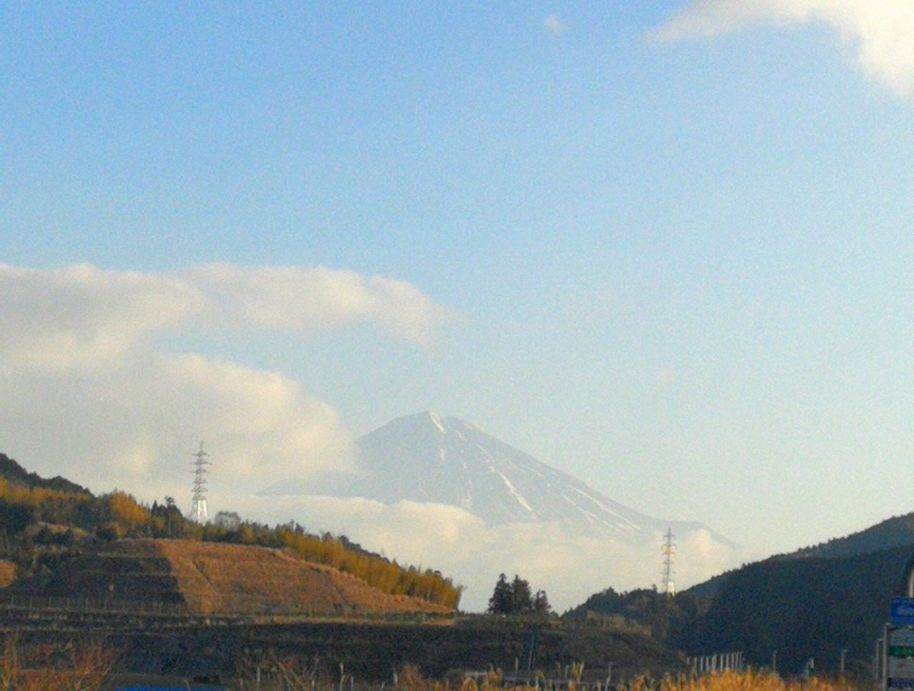 f:id:adagio-nijiiro:20190218190758j:image
