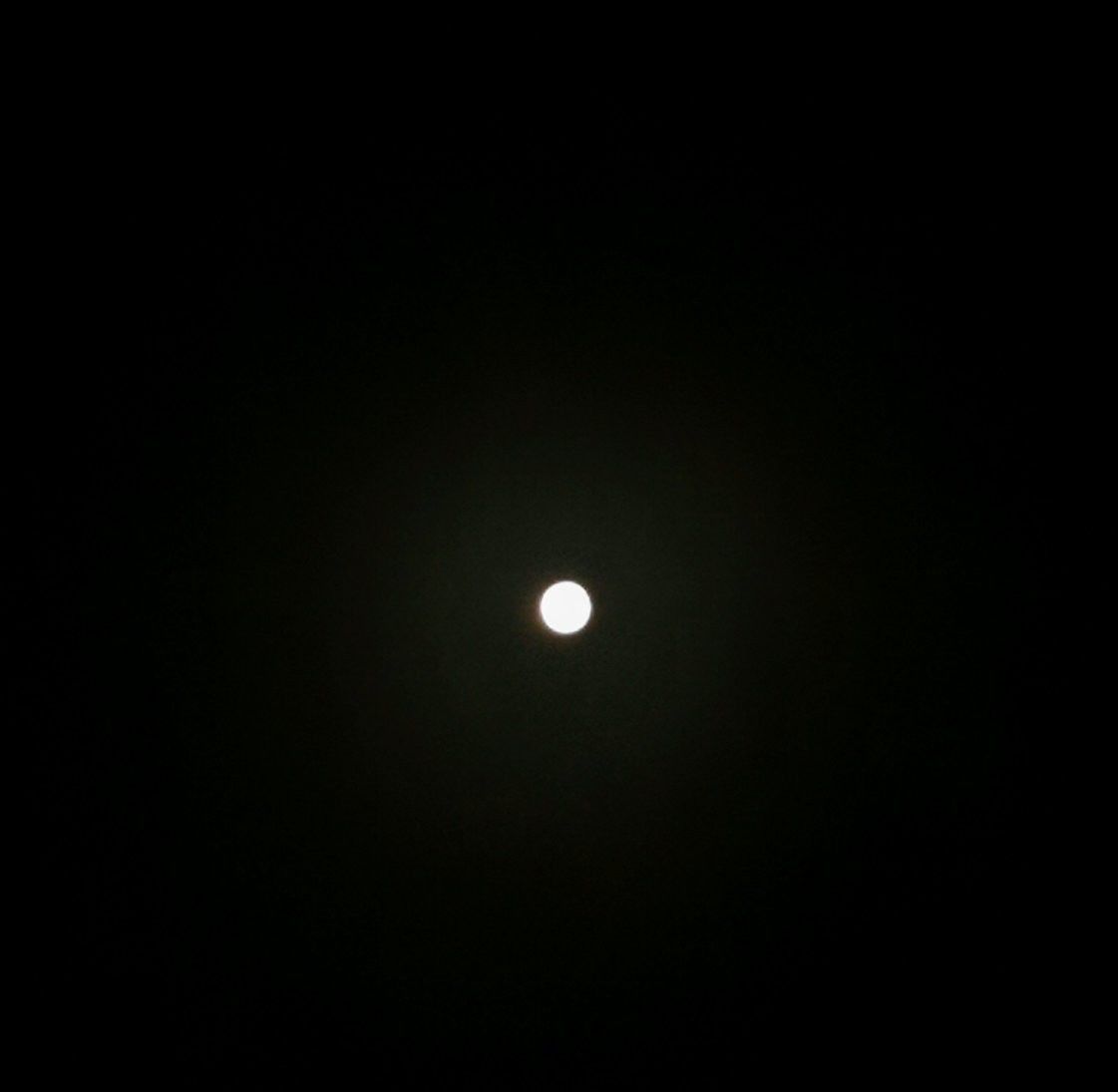 f:id:adagio-nijiiro:20190220023434j:image f:id:adagio-nijiiro:20190220023434j:image