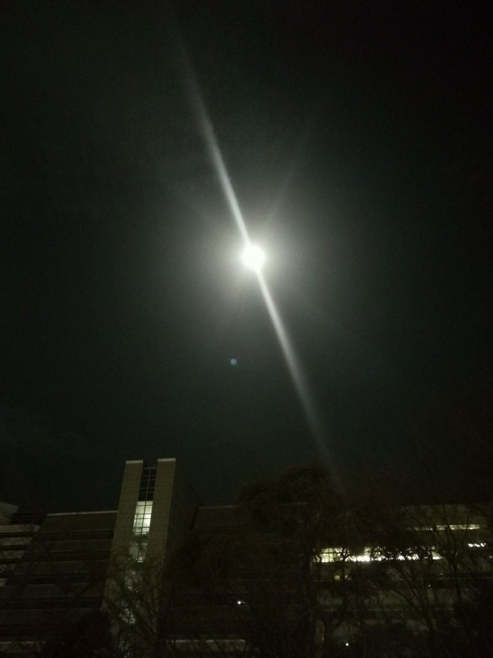 f:id:adagio-nijiiro:20190323002711j:image