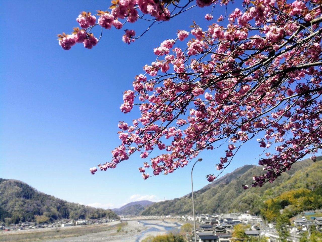 f:id:adagio-nijiiro:20190415145547j:image