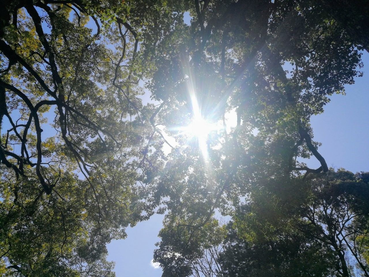 f:id:adagio-nijiiro:20190417132743j:image f:id:adagio-nijiiro:20190417132743j:image