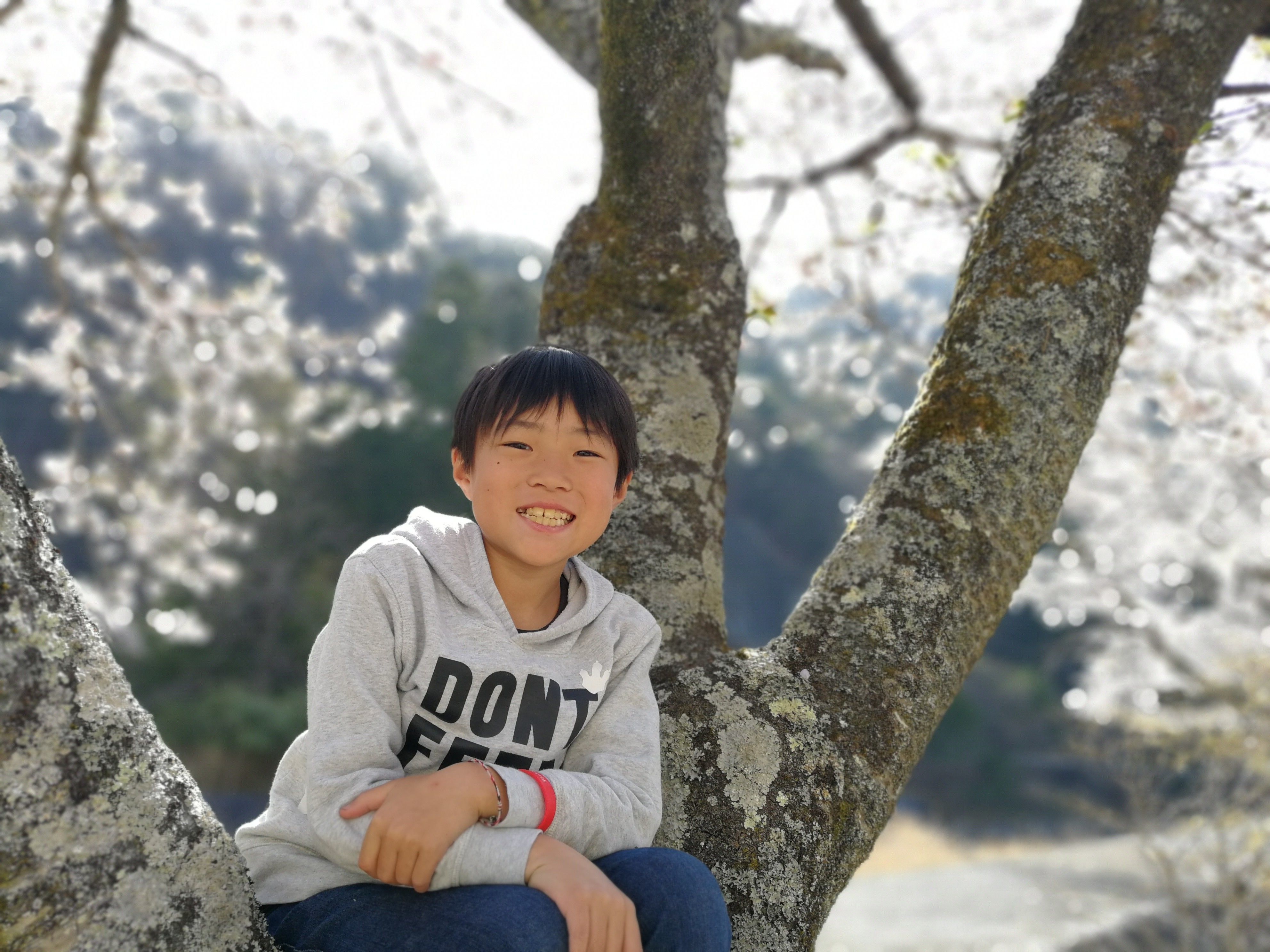 f:id:adagio-nijiiro:20190423133106j:image