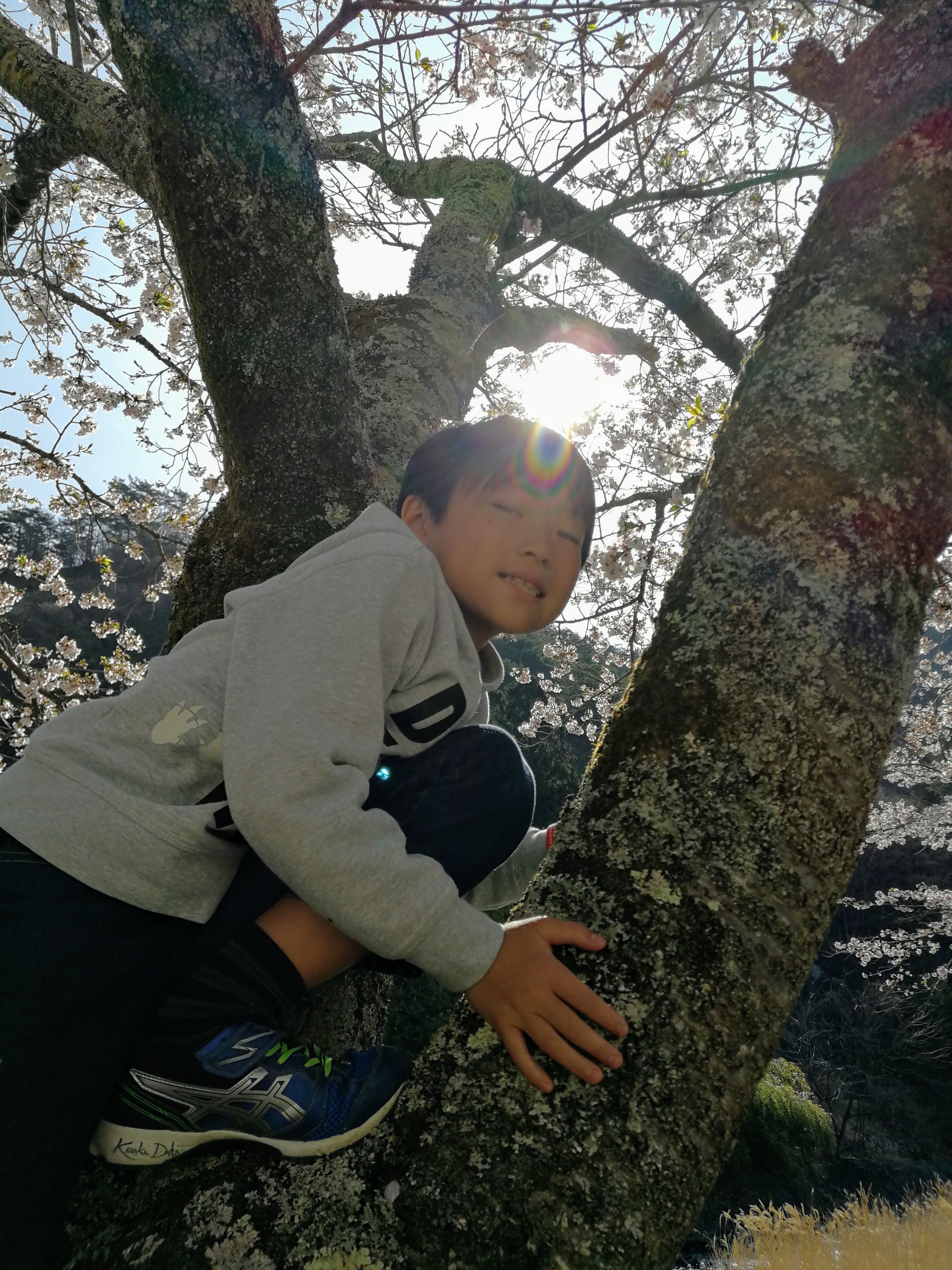 f:id:adagio-nijiiro:20190423134210j:image