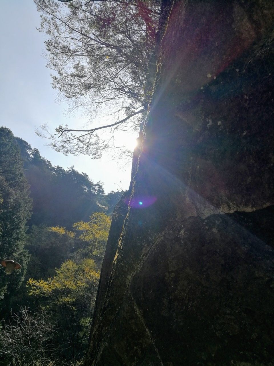 f:id:adagio-nijiiro:20190423135532j:image