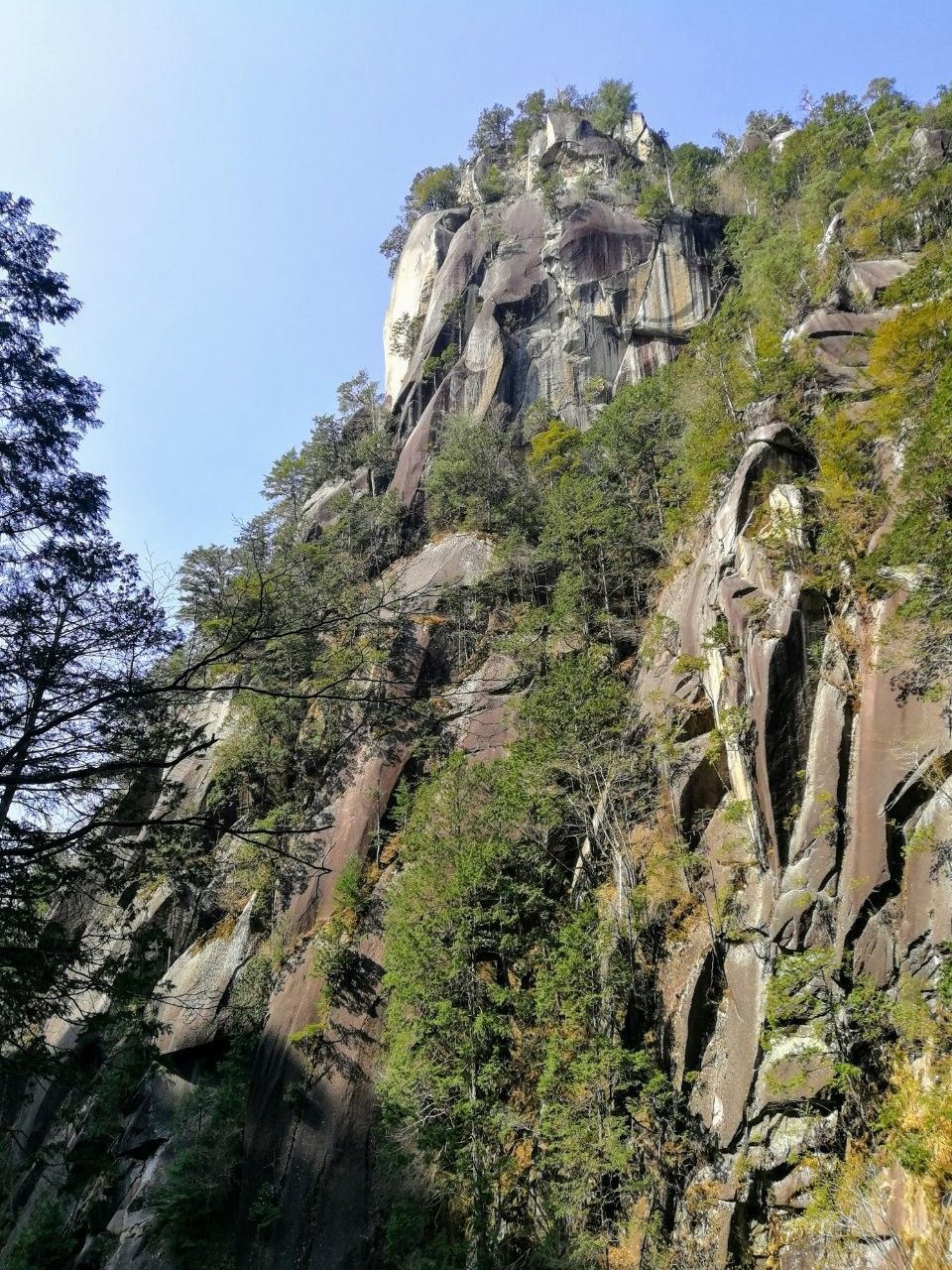 f:id:adagio-nijiiro:20190423135902j:image