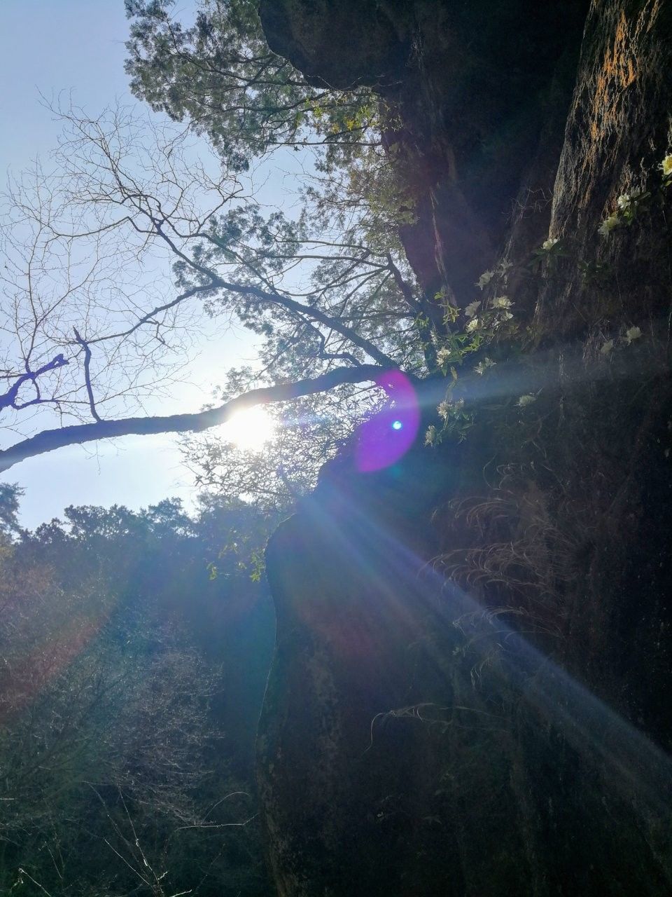 f:id:adagio-nijiiro:20190423142236j:image