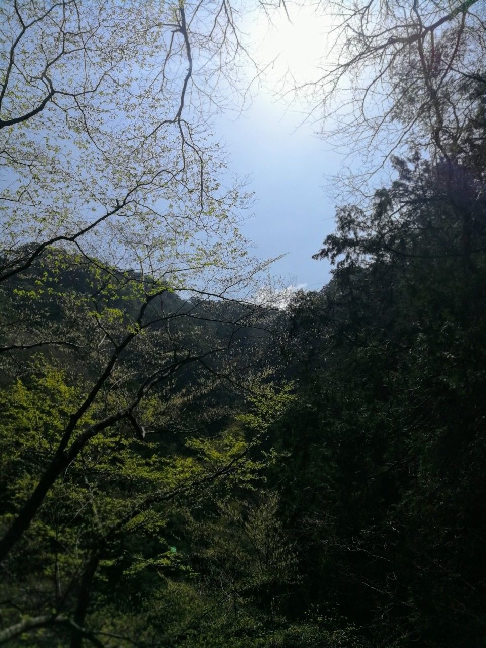 f:id:adagio-nijiiro:20190423142335j:image