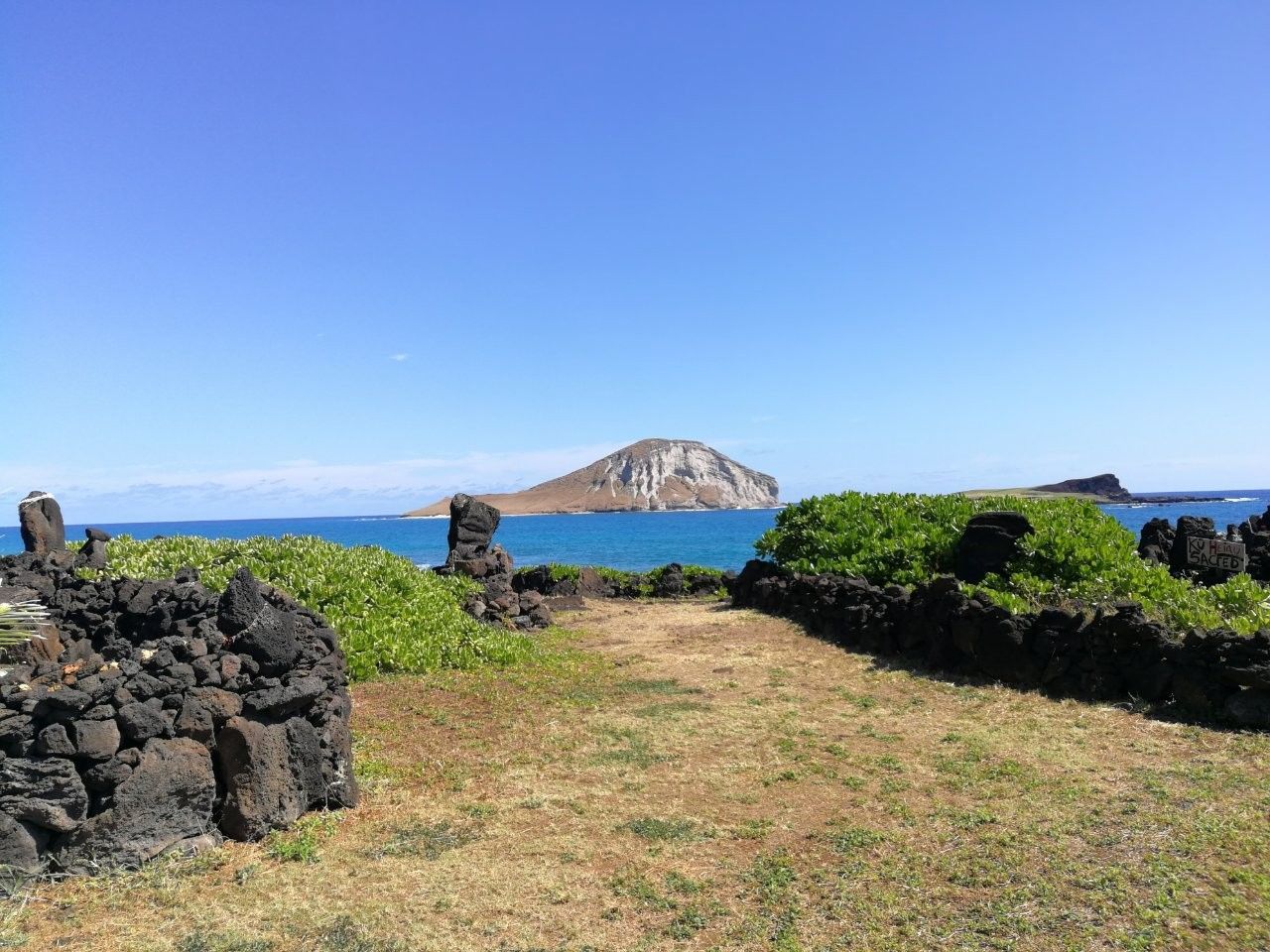 f:id:adagio-nijiiro:20190424002849j:image