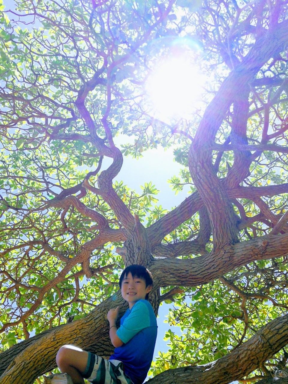 f:id:adagio-nijiiro:20190424010922j:image