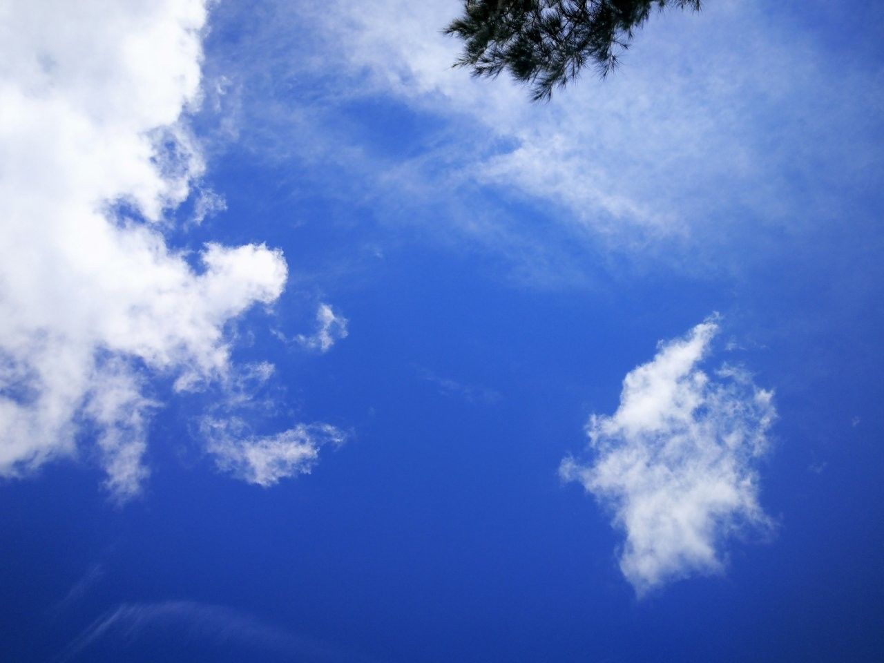 f:id:adagio-nijiiro:20190425111201j:image