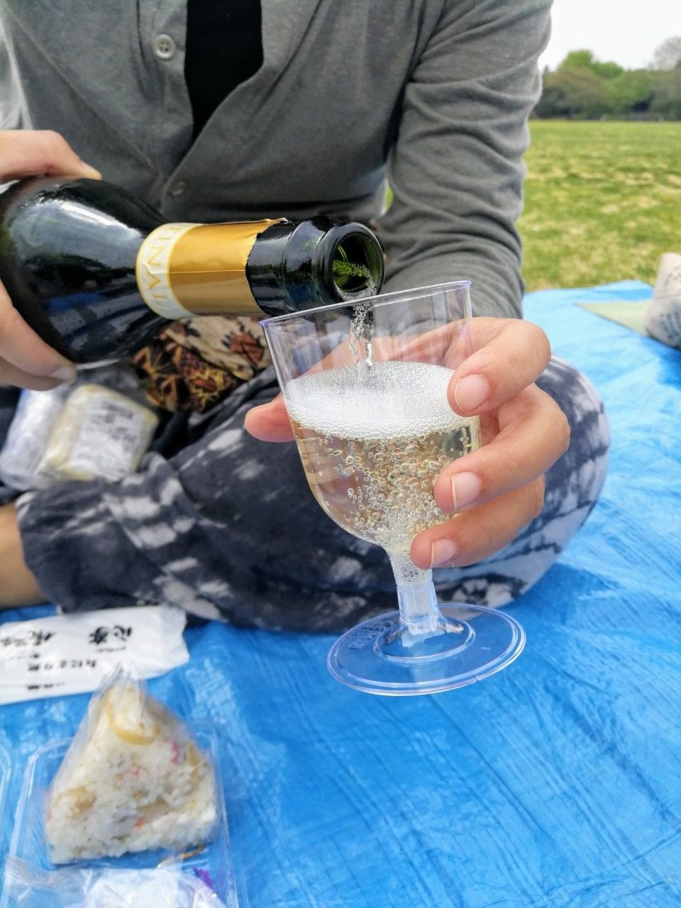 f:id:adagio-nijiiro:20190425234640j:image f:id:adagio-nijiiro:20190425234640j:image
