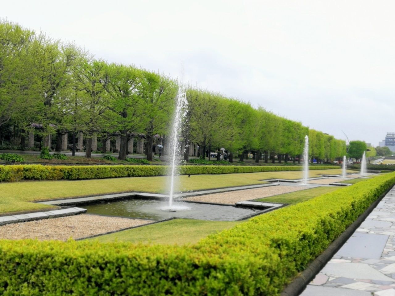 f:id:adagio-nijiiro:20190426000014j:image f:id:adagio-nijiiro:20190426000014j:image