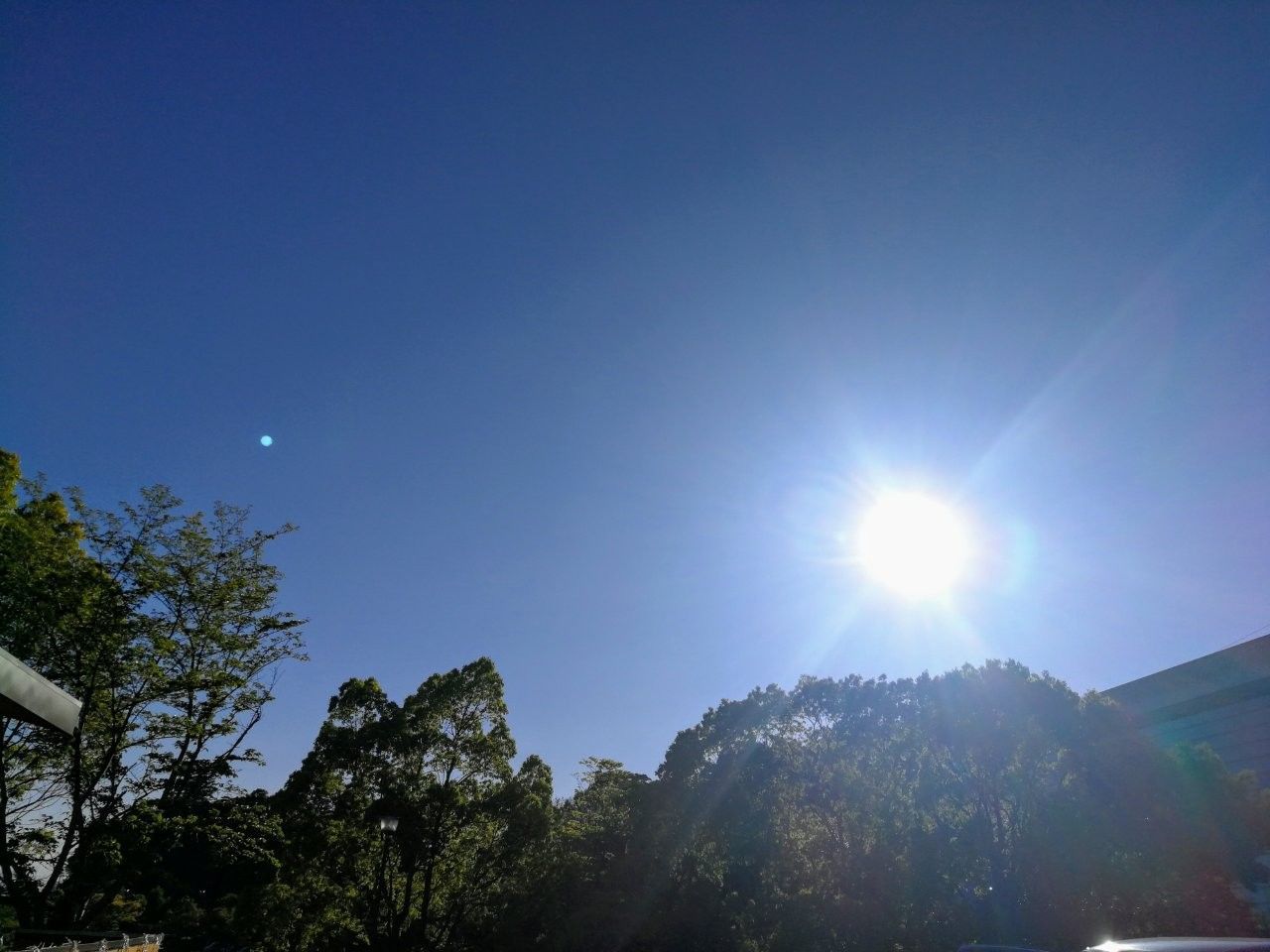 f:id:adagio-nijiiro:20190428005924j:image f:id:adagio-nijiiro:20190428005924j:image