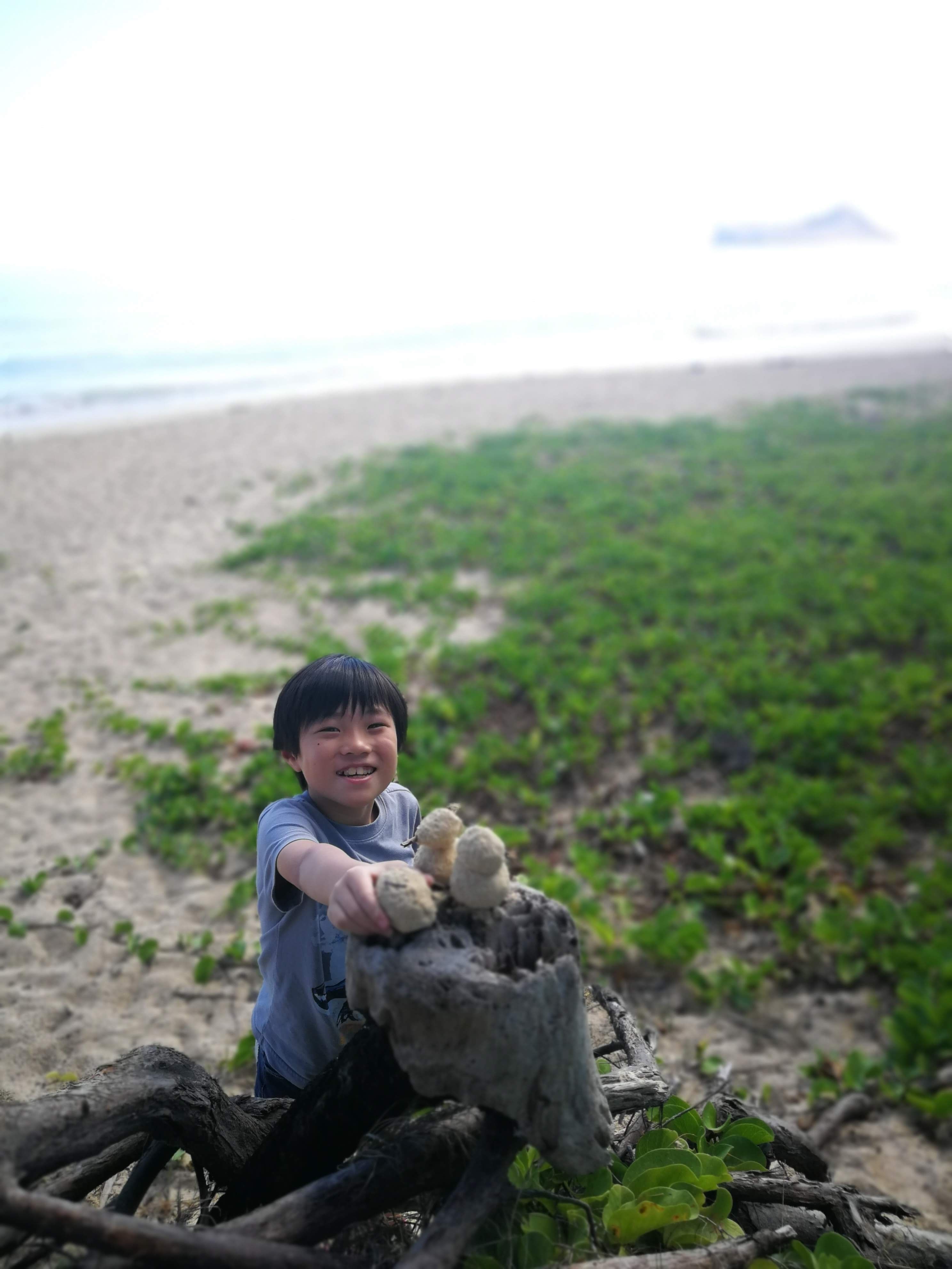 f:id:adagio-nijiiro:20190429093420j:image f:id:adagio-nijiiro:20190429093420j:image