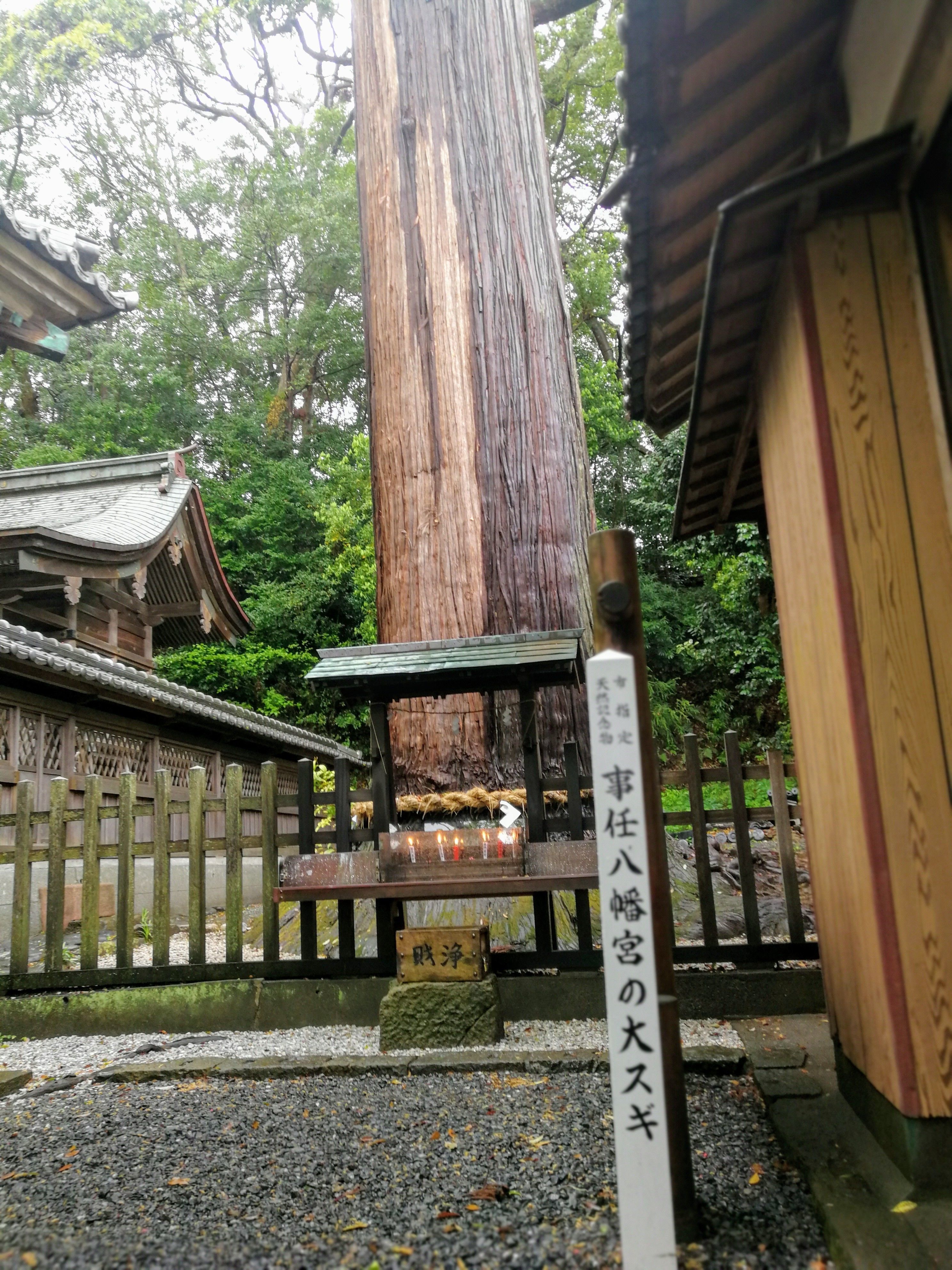 f:id:adagio-nijiiro:20190501230439j:image