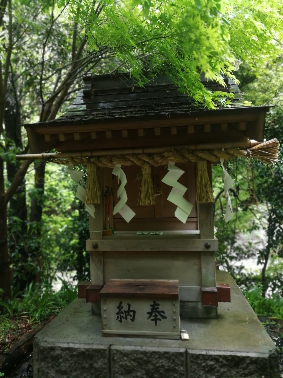f:id:adagio-nijiiro:20190501230943j:image