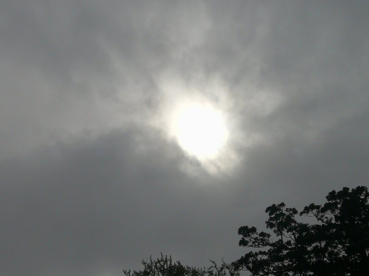 f:id:adagio-nijiiro:20190501231352j:image