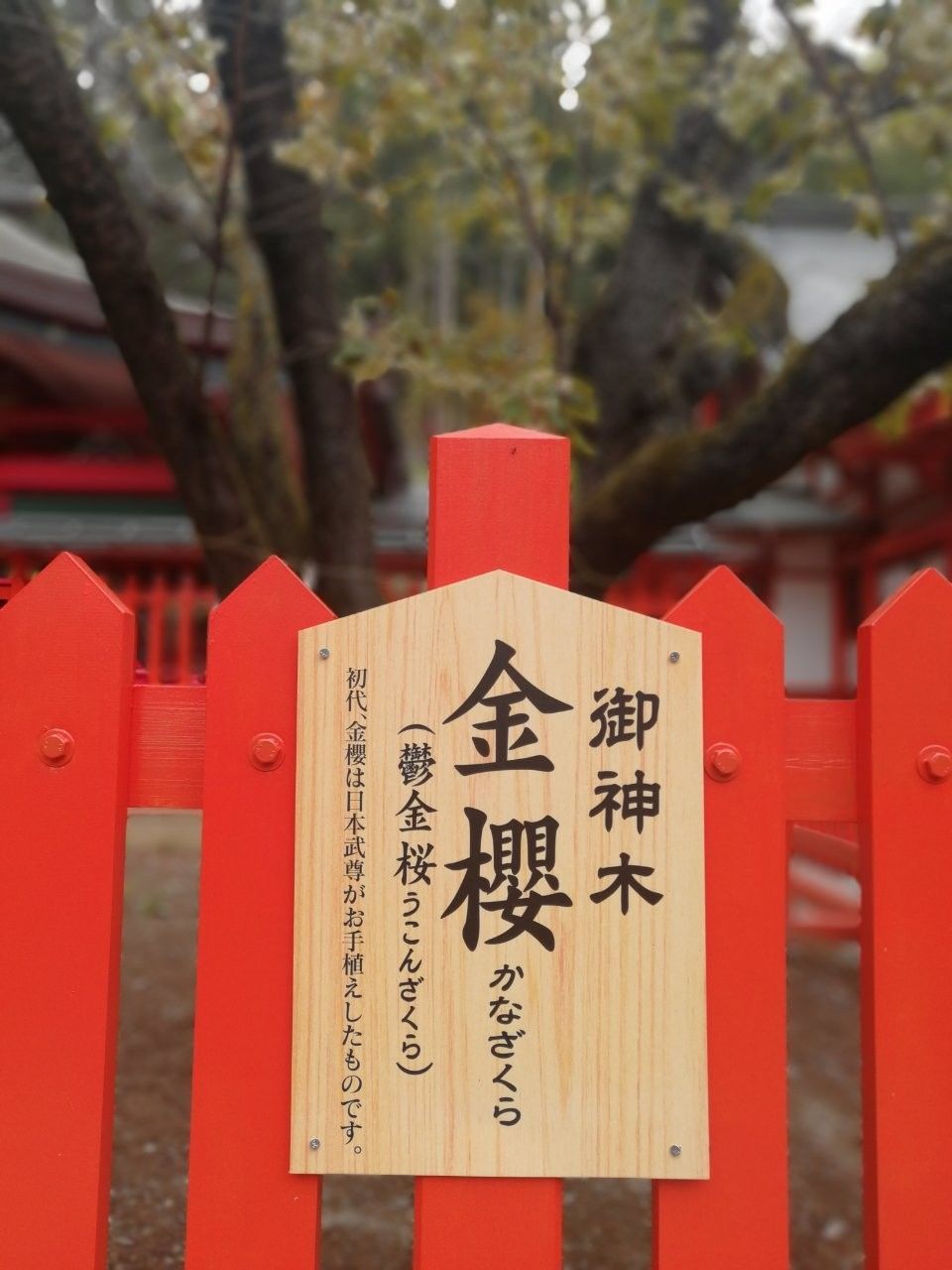 f:id:adagio-nijiiro:20190502000230j:image