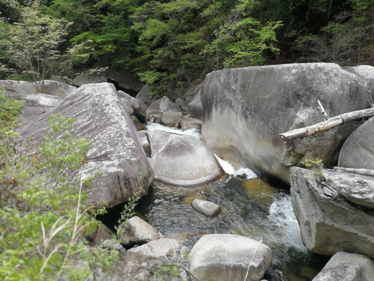 f:id:adagio-nijiiro:20190502000924j:image
