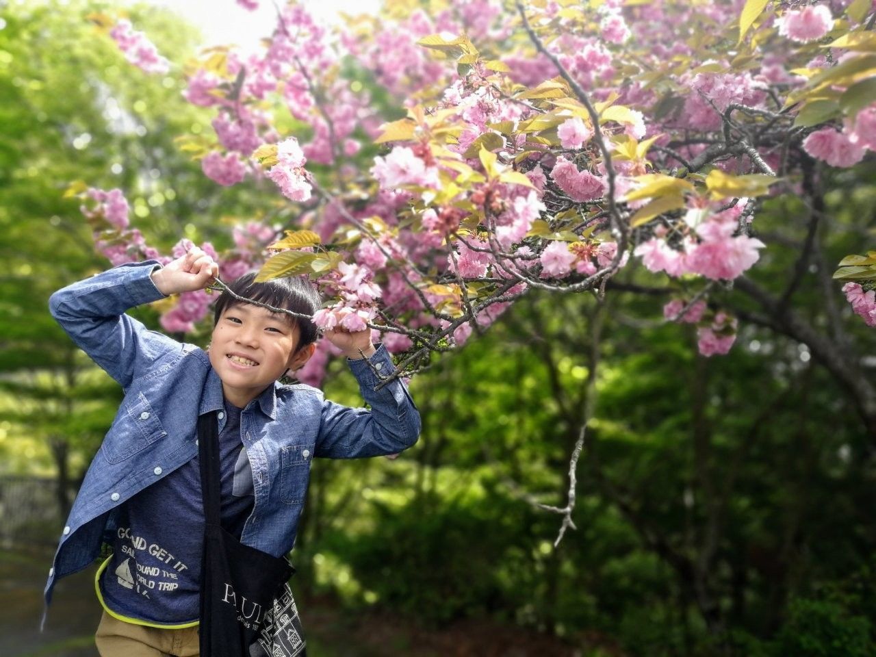 f:id:adagio-nijiiro:20190505212759j:image f:id:adagio-nijiiro:20190505212759j:image