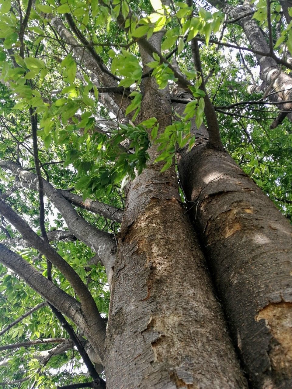 f:id:adagio-nijiiro:20190516234723j:image f:id:adagio-nijiiro:20190516234723j:image