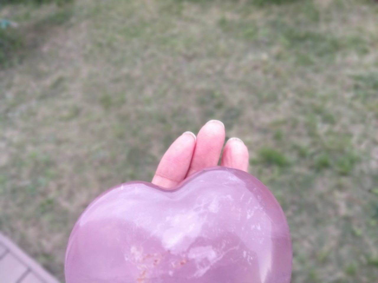 f:id:adagio-nijiiro:20190517100730j:image