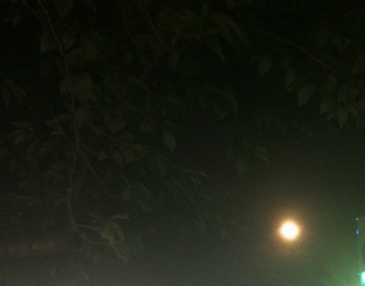 f:id:adagio-nijiiro:20190520003043j:image f:id:adagio-nijiiro:20190520003043j:image