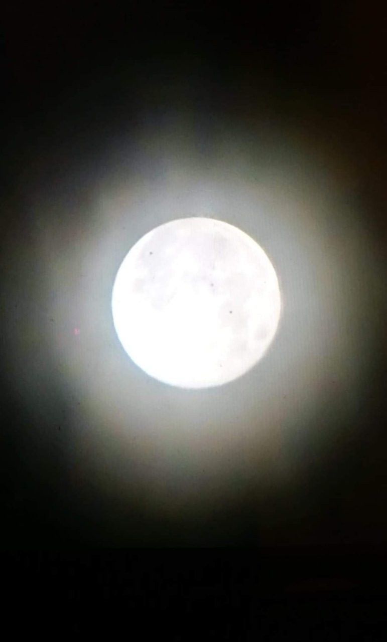 f:id:adagio-nijiiro:20190520003154j:image f:id:adagio-nijiiro:20190520003154j:image