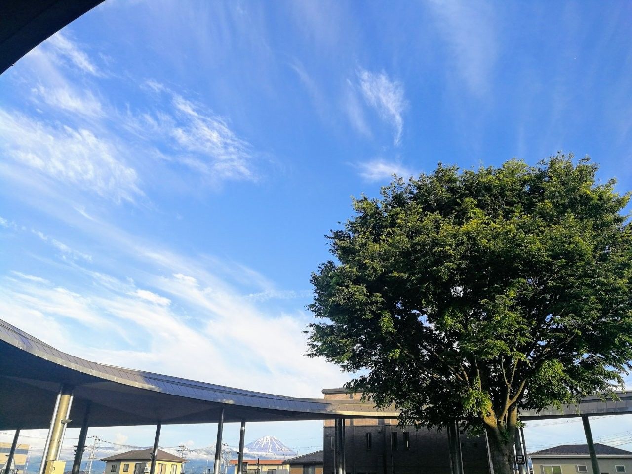 f:id:adagio-nijiiro:20190522010830j:image