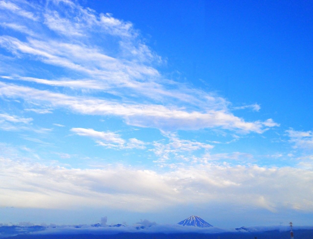 f:id:adagio-nijiiro:20190522011458j:image