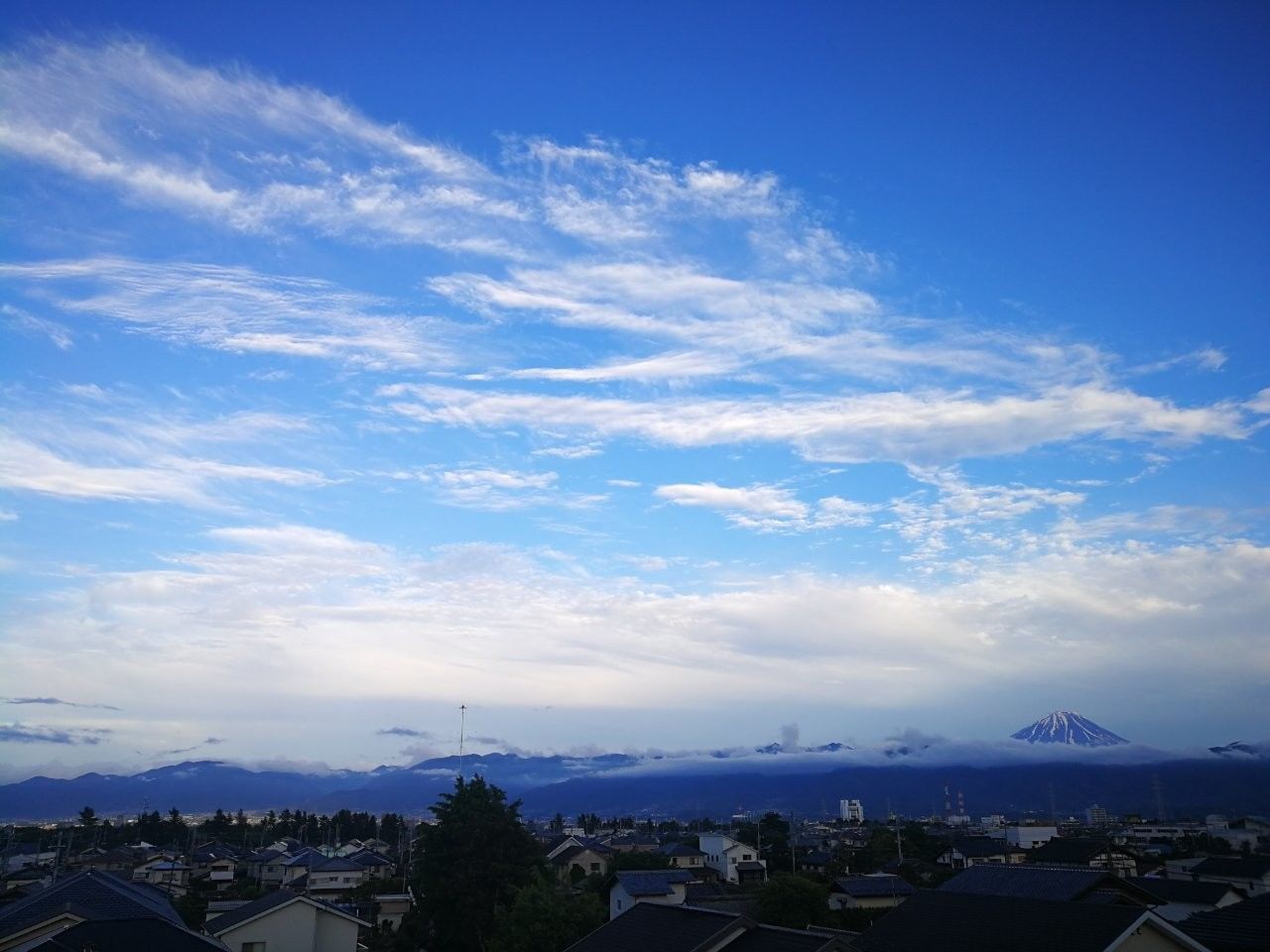 f:id:adagio-nijiiro:20190522011756j:image