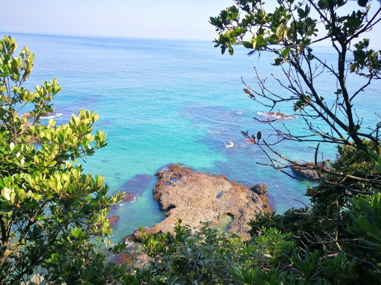 f:id:adagio-nijiiro:20190529003148j:image f:id:adagio-nijiiro:20190529003148j:image